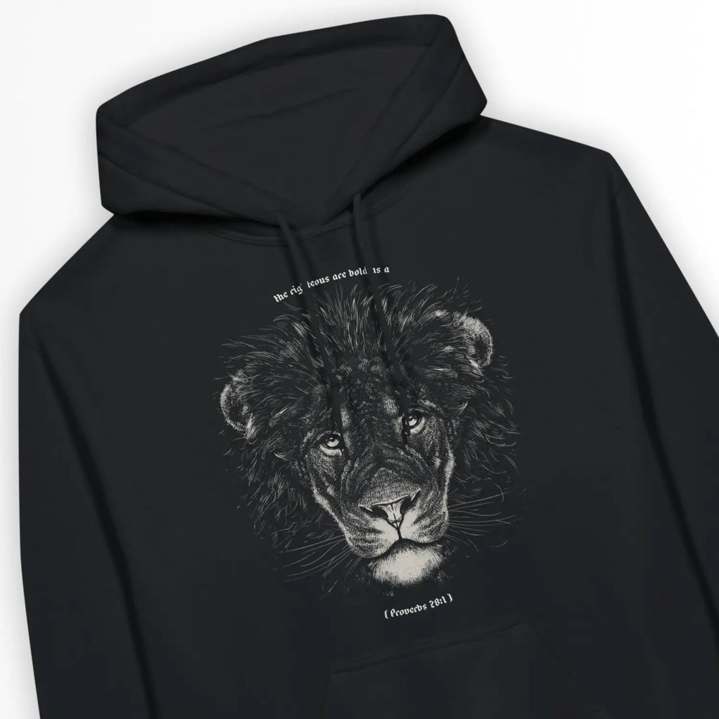 Bold As A Lion – Unisex Christian Hoodie designed by 3rd Day Christian Clothing.