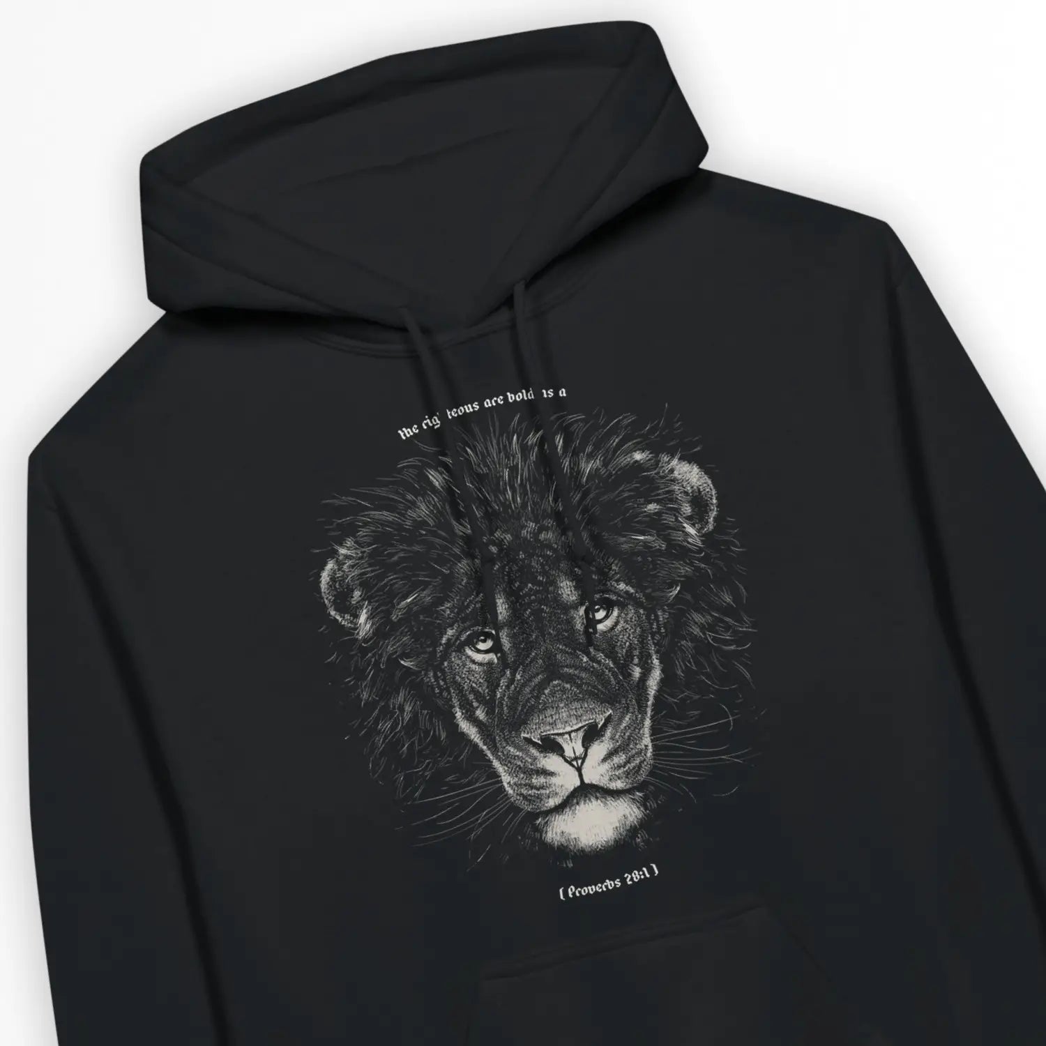 Bold As A Lion – Unisex Christian Hoodie designed by 3rd Day Christian Clothing.
