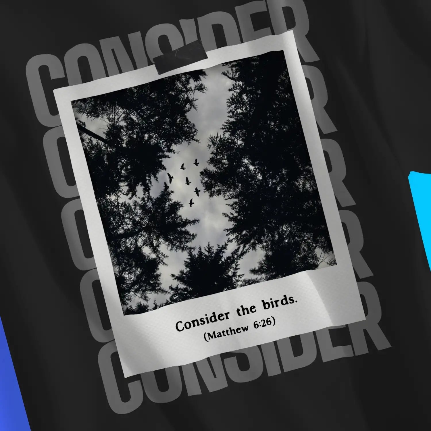 Consider The Birds – Unisex Christian T-Shirt designed by 3rd Day Christian Clothing.