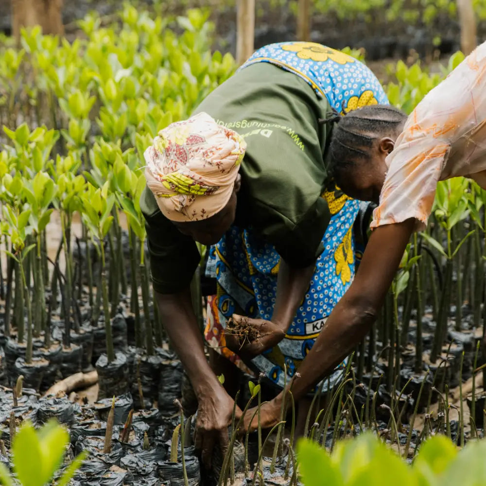 women planting trees with EarthLungs Reforestation