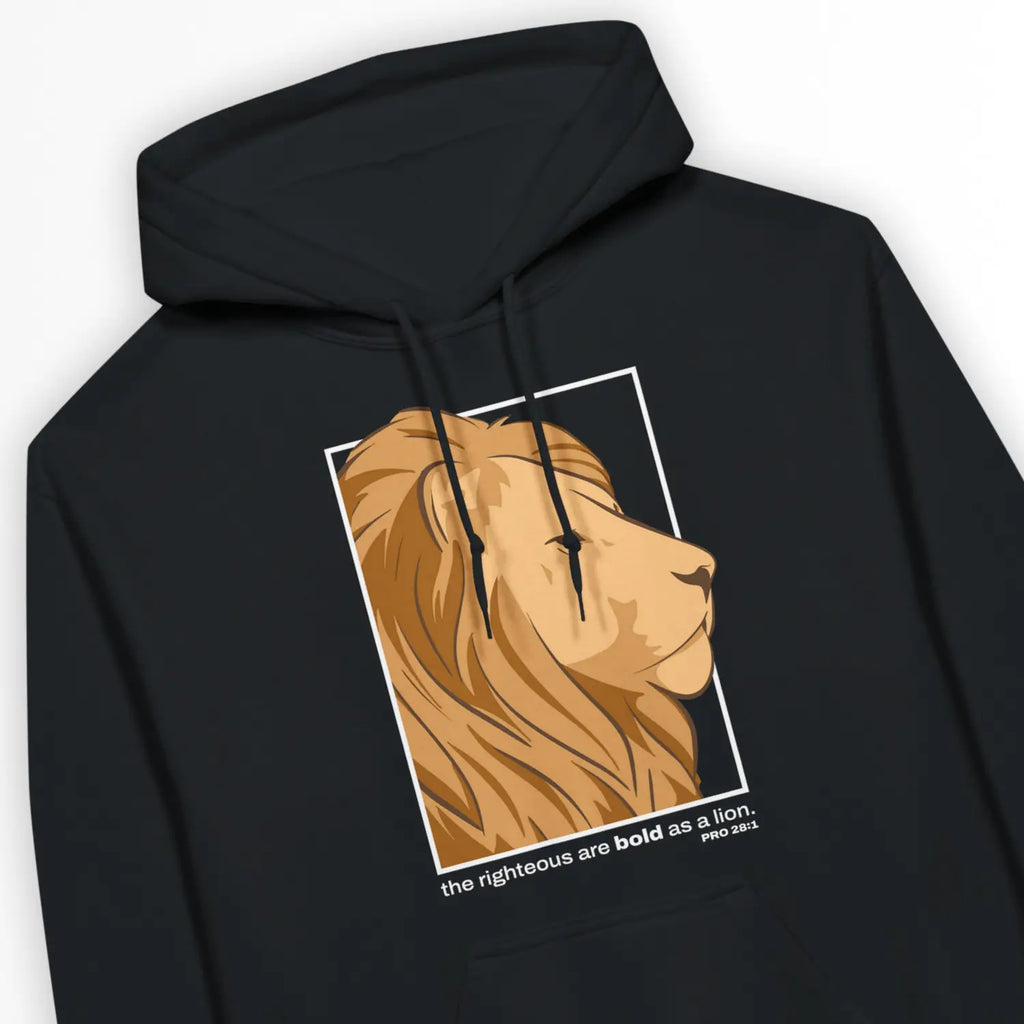 Bold As A Lion (2nd Edition, Black) – Unisex Christian Hoodie designed by 3rd Day Christian Clothing.